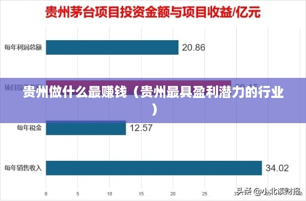 贵州做什么最赚钱（贵州最具盈利潜力的行业）