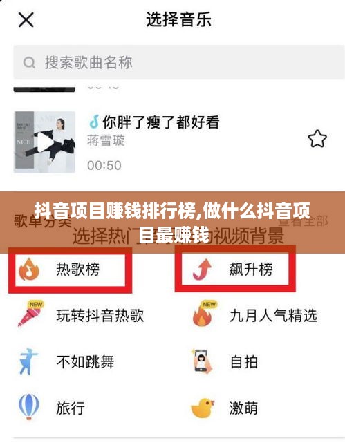 抖音项目赚钱排行榜,做什么抖音项目最赚钱