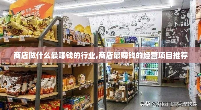 商店做什么最赚钱的行业,商店最赚钱的经营项目推荐