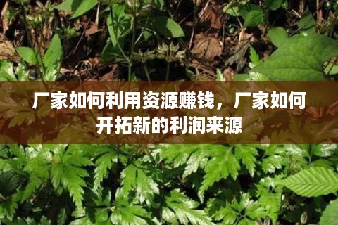 厂家如何利用资源赚钱，厂家如何开拓新的利润来源