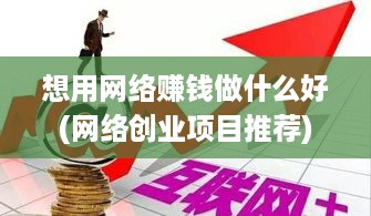 想用网络赚钱做什么好(网络创业项目推荐)