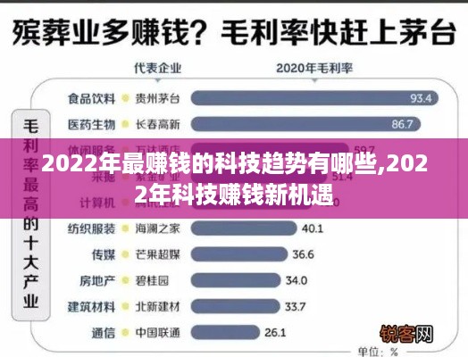 2022年最赚钱的科技趋势有哪些,2022年科技赚钱新机遇