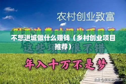 不想进城做什么赚钱（乡村创业项目推荐）