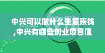 中兴可以做什么生意赚钱,中兴有哪些创业项目值得投资