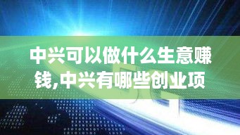 中兴可以做什么生意赚钱,中兴有哪些创业项目值得投资