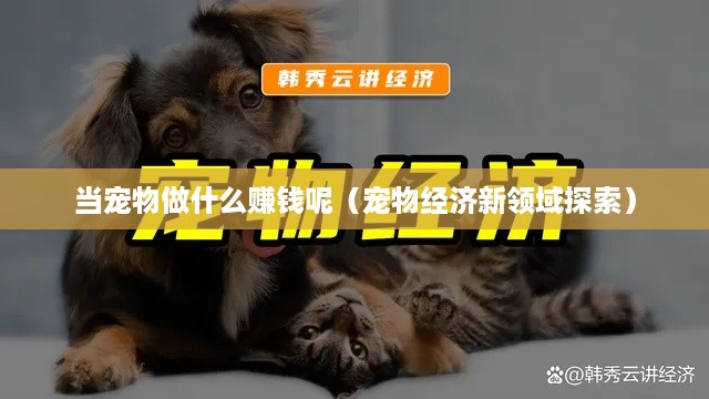 当宠物做什么赚钱呢（宠物经济新领域探索）