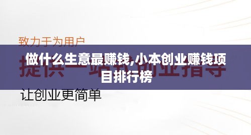 做什么生意最赚钱,小本创业赚钱项目排行榜