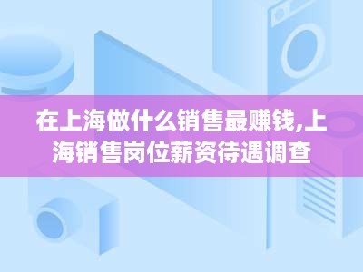 在上海做什么销售最赚钱,上海销售岗位薪资待遇调查