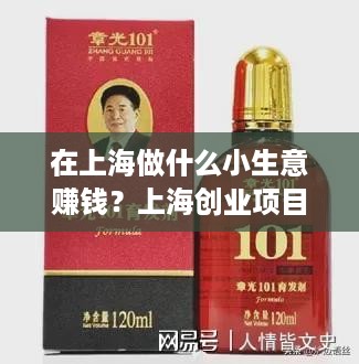 在上海做什么小生意赚钱？上海创业项目推荐