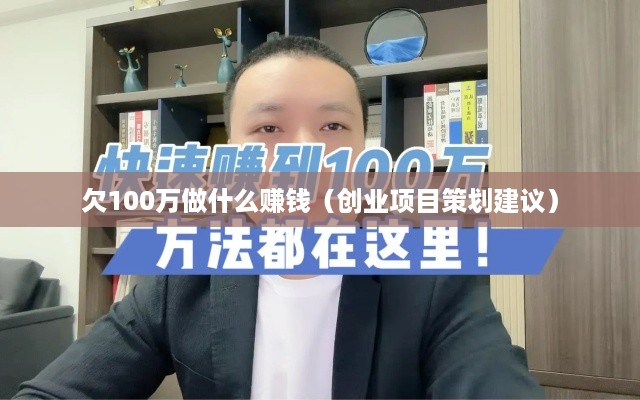 欠100万做什么赚钱（创业项目策划建议）