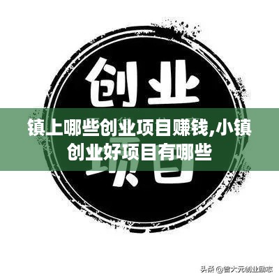 镇上哪些创业项目赚钱,小镇创业好项目有哪些