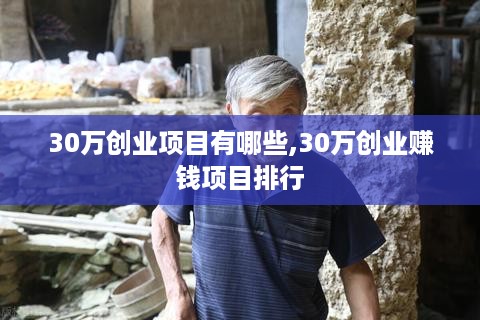 30万创业项目有哪些,30万创业赚钱项目排行