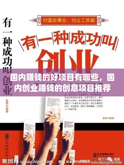 国内赚钱的好项目有哪些，国内创业赚钱的创意项目推荐