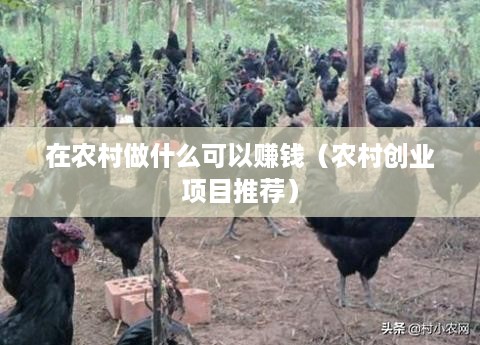 在农村做什么可以赚钱（农村创业项目推荐）