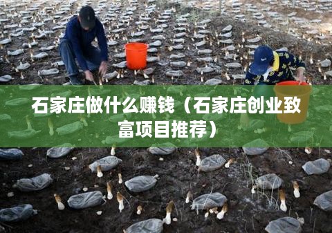 石家庄做什么赚钱（石家庄创业致富项目推荐）