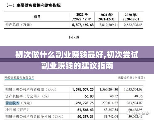 初次做什么副业赚钱最好,初次尝试副业赚钱的建议指南