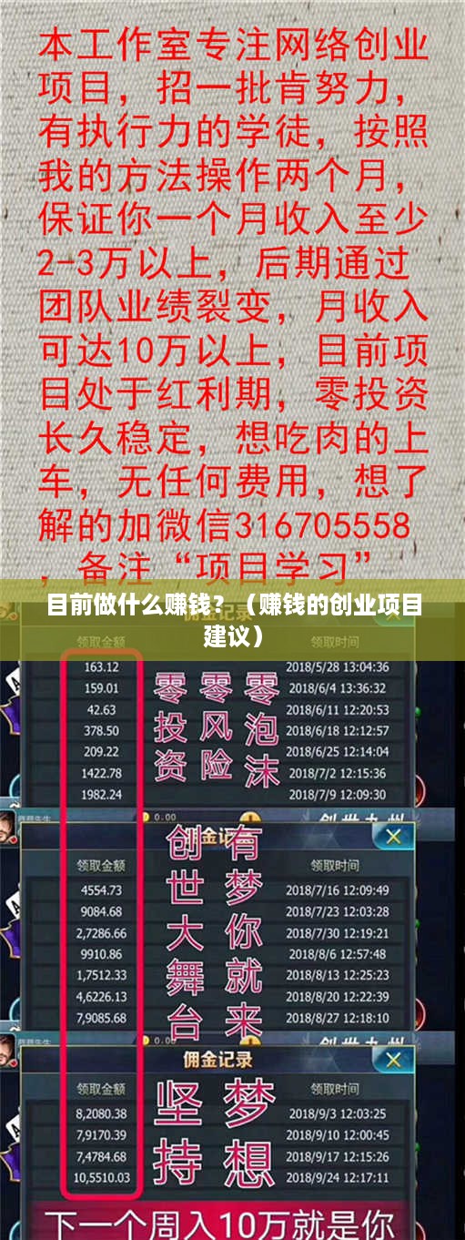 目前做什么赚钱？（赚钱的创业项目建议）