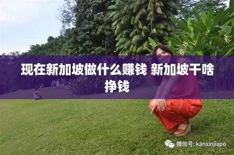 现在新加坡做什么赚钱 新加坡干啥挣钱