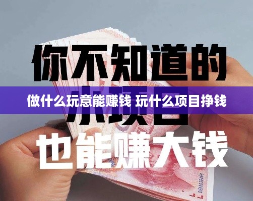 做什么玩意能赚钱 玩什么项目挣钱