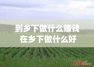 到乡下做什么赚钱 在乡下做什么好