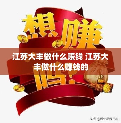 江苏大丰做什么赚钱 江苏大丰做什么赚钱的