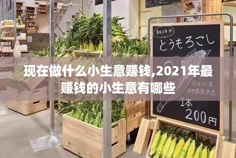 现在做什么小生意赚钱,2021年最赚钱的小生意有哪些