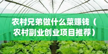 农村兄弟做什么菜赚钱（农村副业创业项目推荐）