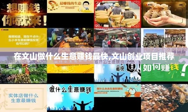 在文山做什么生意赚钱最快,文山创业项目推荐