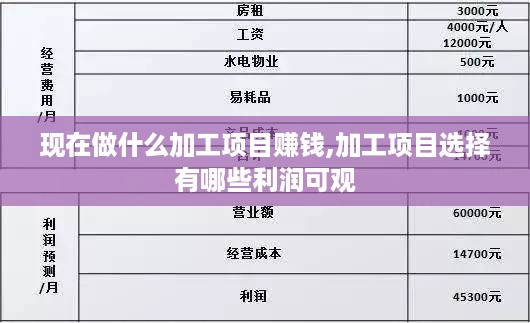 现在做什么加工项目赚钱,加工项目选择有哪些利润可观