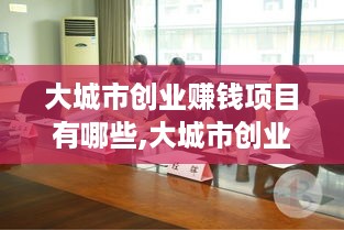 大城市创业赚钱项目有哪些,大城市创业好项目推荐