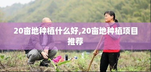 20亩地种植什么好,20亩地种植项目推荐