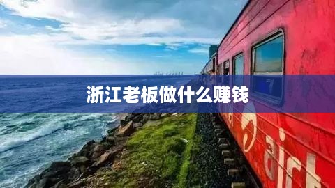 浙江老板做什么赚钱