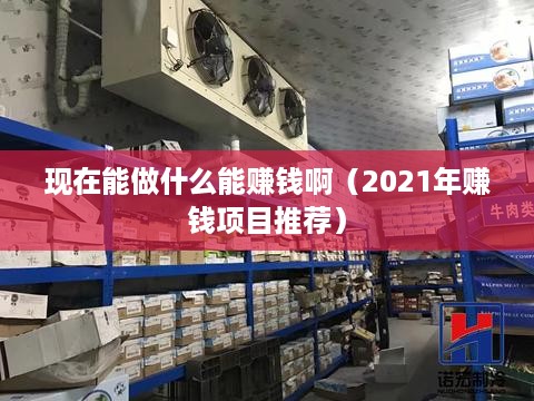 现在能做什么能赚钱啊（2021年赚钱项目推荐）