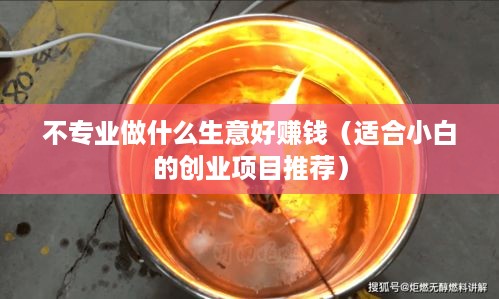 不专业做什么生意好赚钱（适合小白的创业项目推荐）