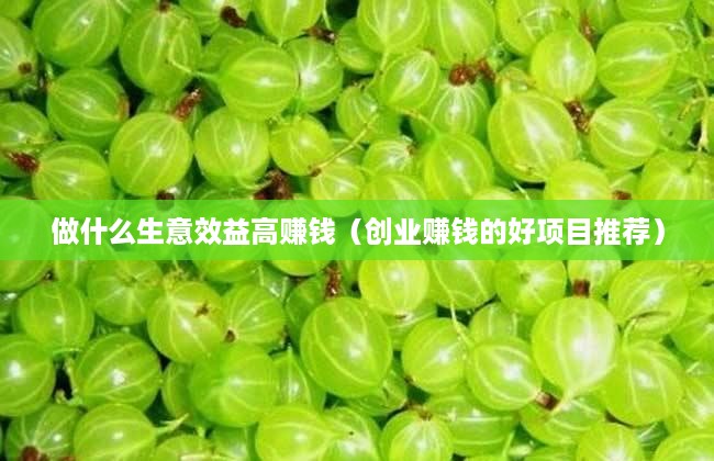 做什么生意效益高赚钱（创业赚钱的好项目推荐）