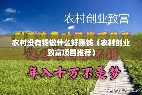 农村没有钱做什么好赚钱（农村创业致富项目推荐）