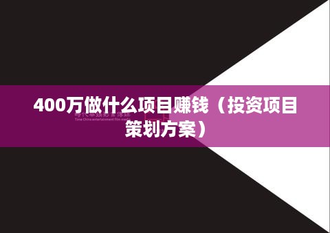 400万做什么项目赚钱（投资项目策划方案）