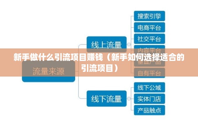 新手做什么引流项目赚钱（新手如何选择适合的引流项目）