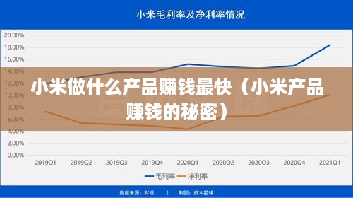 小米做什么产品赚钱最快（小米产品赚钱的秘密）