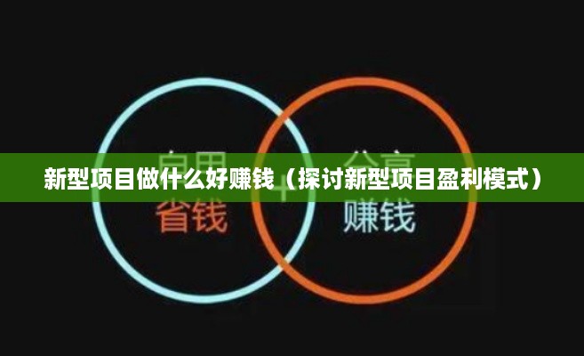 新型项目做什么好赚钱（探讨新型项目盈利模式）