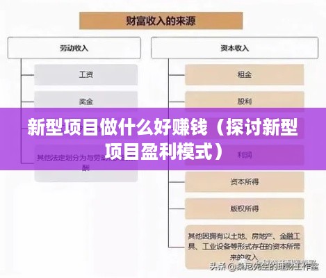 新型项目做什么好赚钱（探讨新型项目盈利模式）