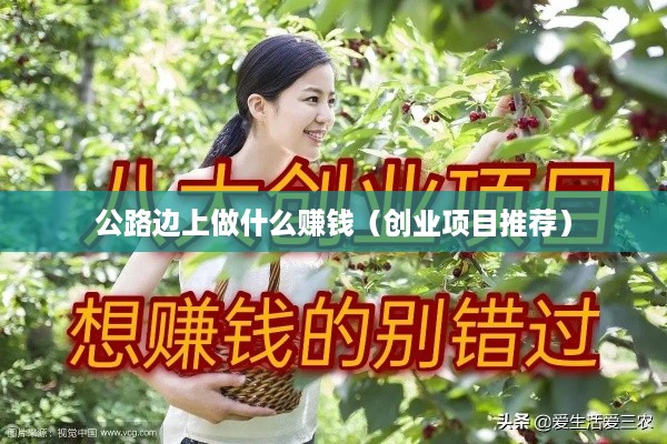 公路边上做什么赚钱（创业项目推荐）