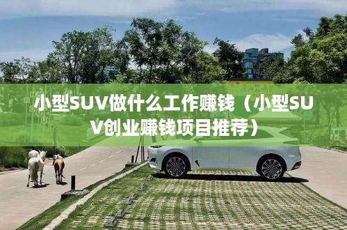 小型SUV做什么工作赚钱（小型SUV创业赚钱项目推荐）