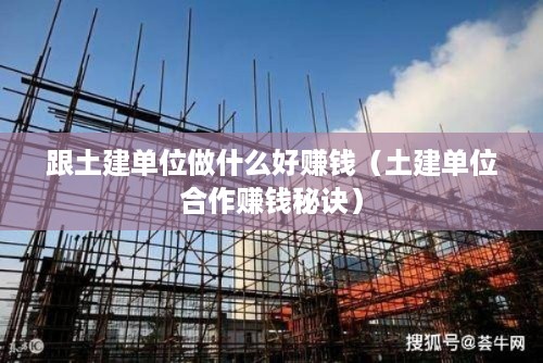 跟土建单位做什么好赚钱（土建单位合作赚钱秘诀）