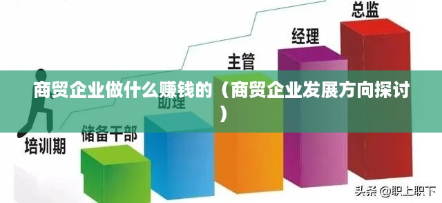 商贸企业做什么赚钱的（商贸企业发展方向探讨）