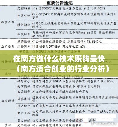 在南方做什么技术赚钱最快（南方适合创业的行业分析）