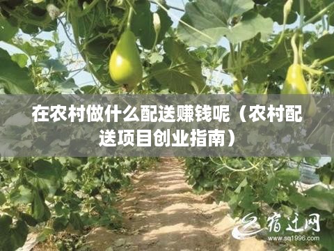 在农村做什么配送赚钱呢（农村配送项目创业指南）