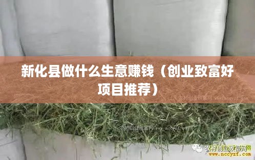 新化县做什么生意赚钱（创业致富好项目推荐）