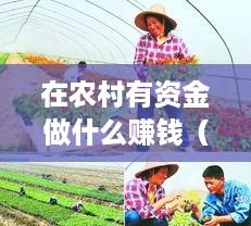 在农村有资金做什么赚钱（农村创业项目推荐）