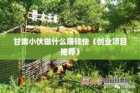 甘肃小伙做什么赚钱快（创业项目推荐）